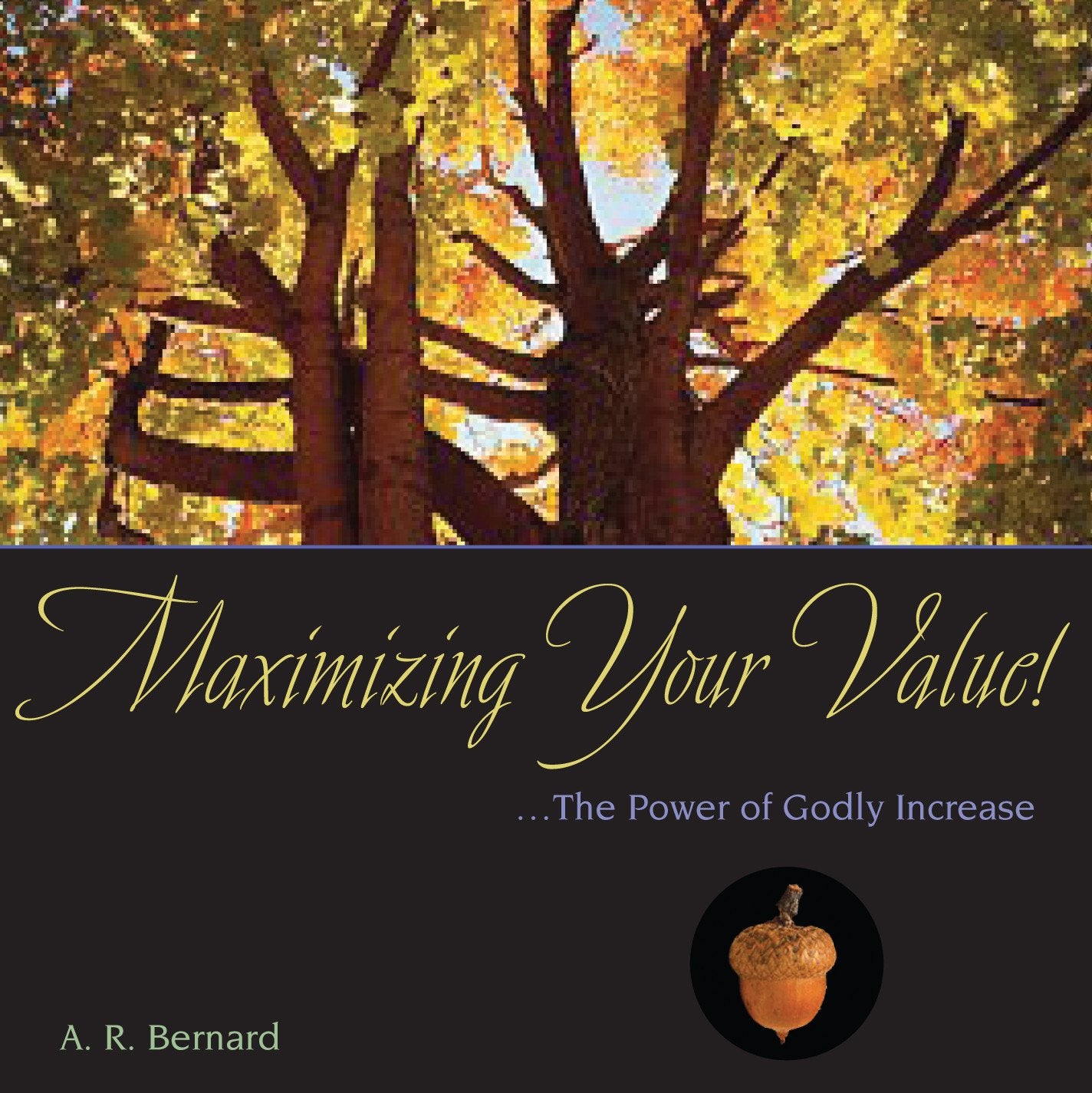 Maximizing Your Value